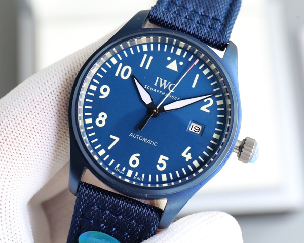 アイ・ダブリュー・シー側面デザイン